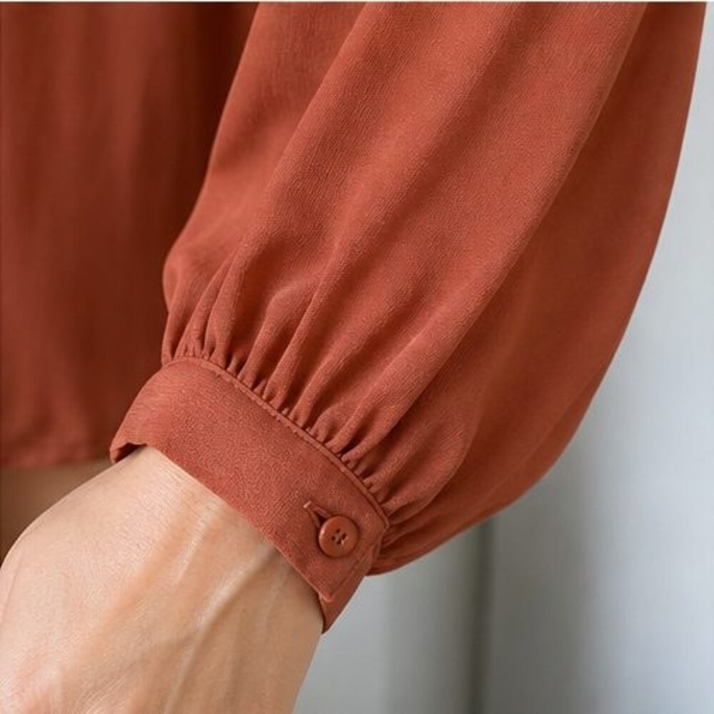 Rust Button Blouse - Picture 5 of 6